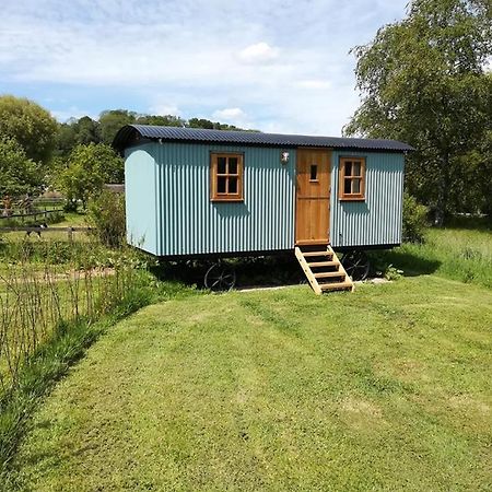 Gaggle Of Geese Pub - Shepherd Huts & Bell Tents 도체스터도싯 외부 사진