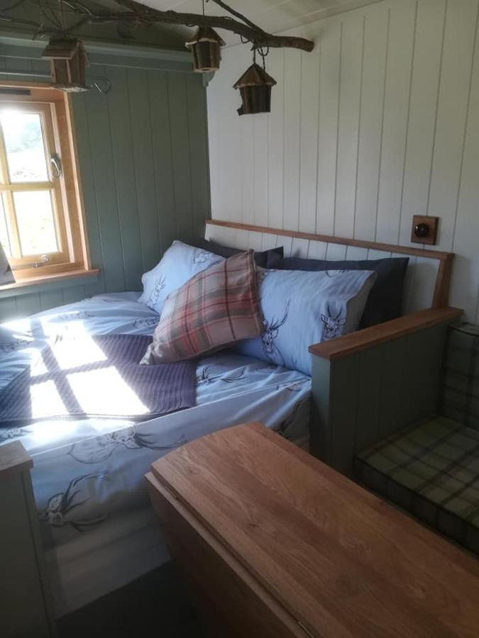 Gaggle Of Geese Pub - Shepherd Huts & Bell Tents 도체스터도싯 외부 사진